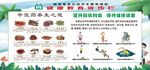 健康教育宣传栏
