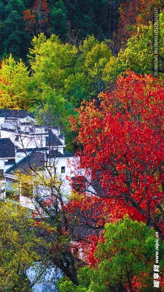 高清唯美风景拍摄竖屏素材