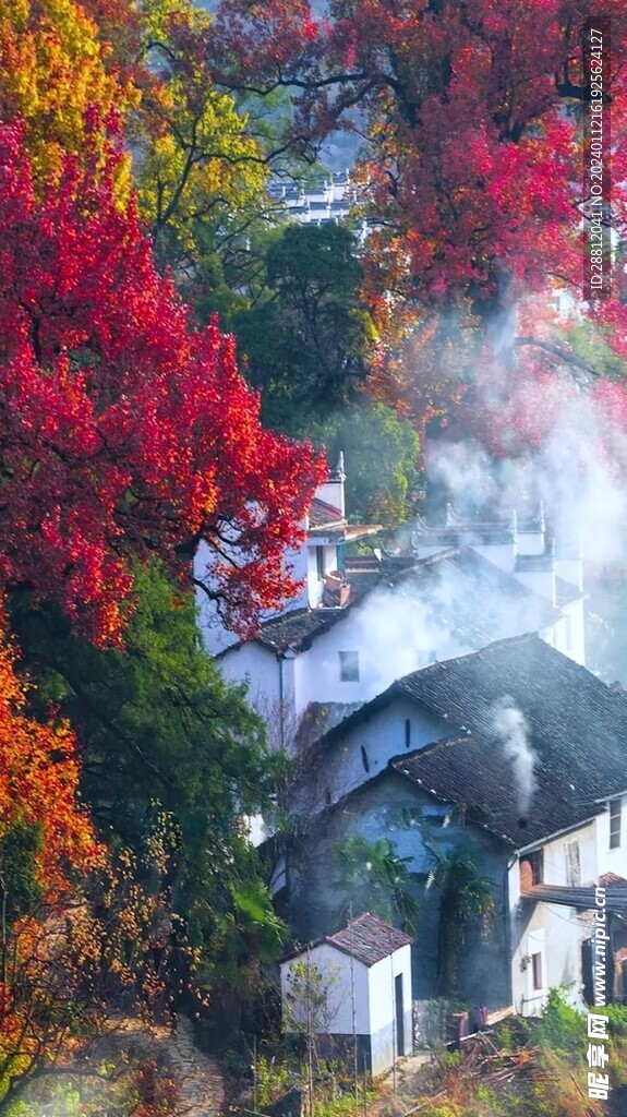 高清唯美风景拍摄竖屏素材