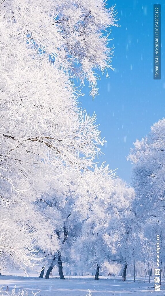 高清唯美风景拍摄竖屏素材