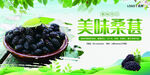美味桑葚
