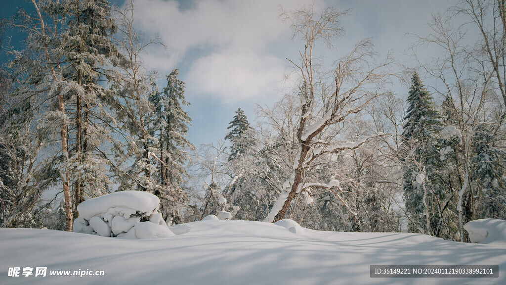 雪林