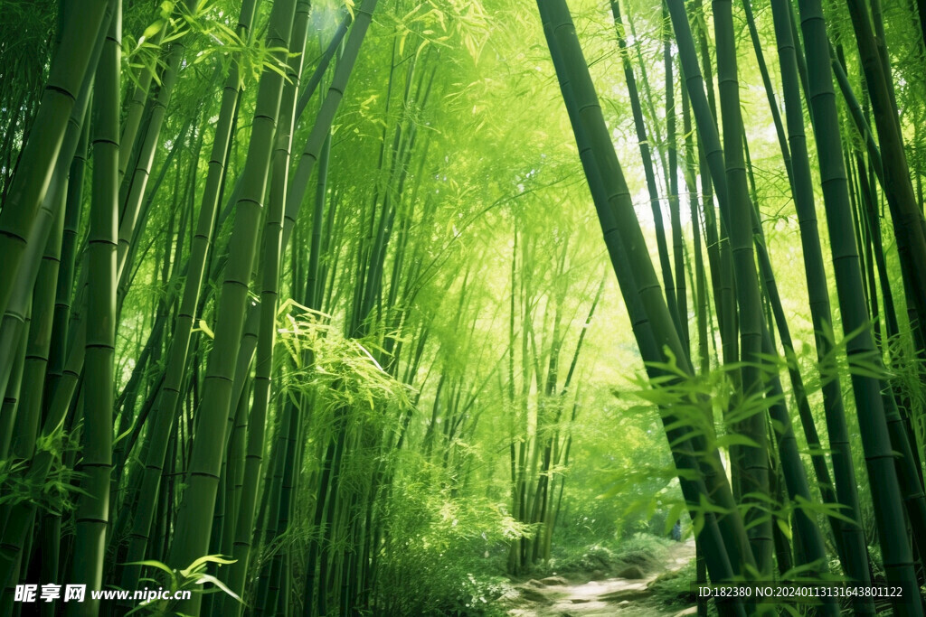 竹林