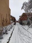 乡村小路