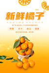 新鲜橘子海报