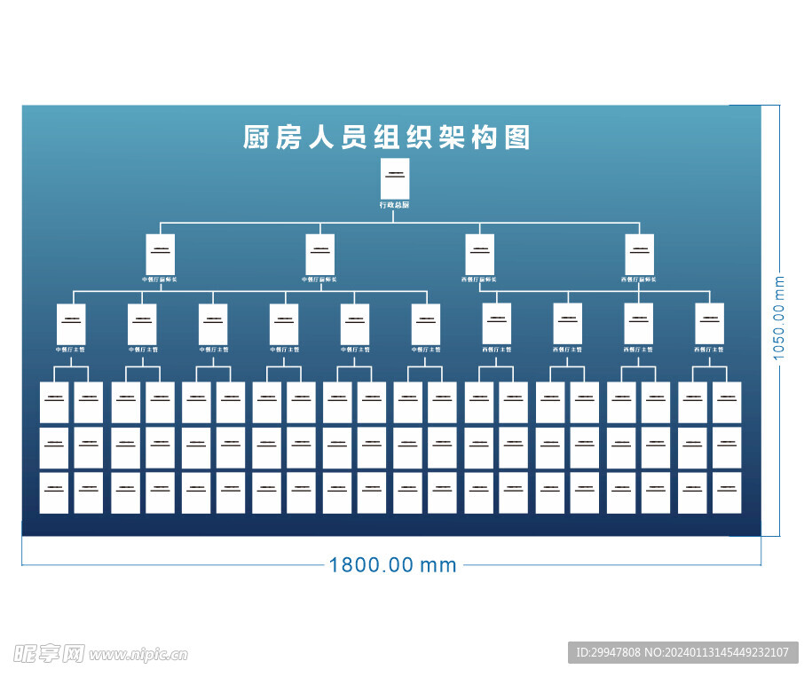 厨房人员组织架构图