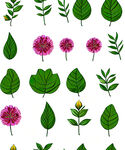 花