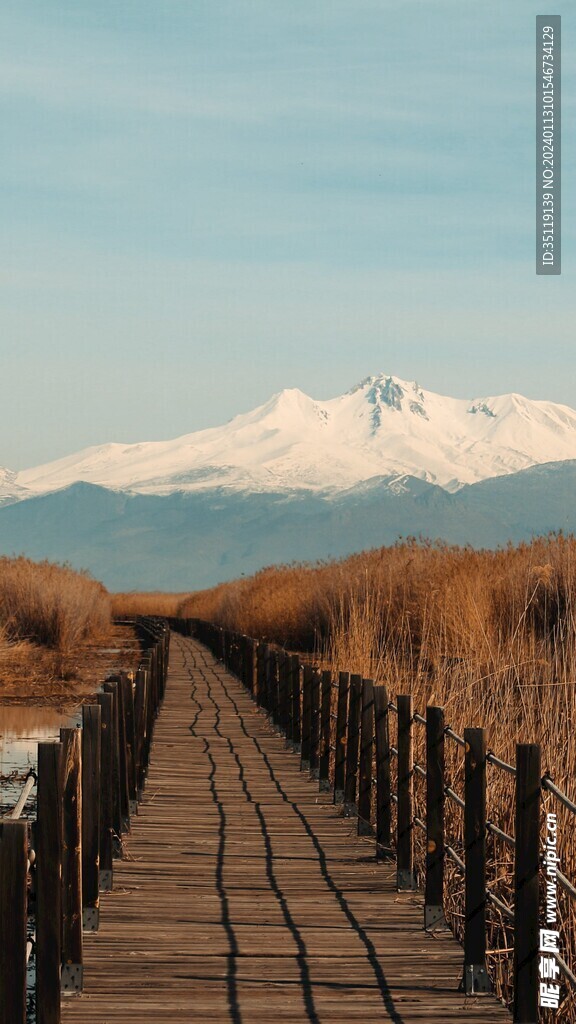 桥边风景