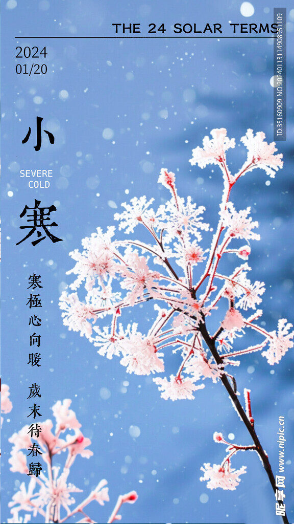大寒节气海报