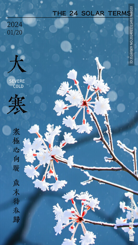 大寒节气海报