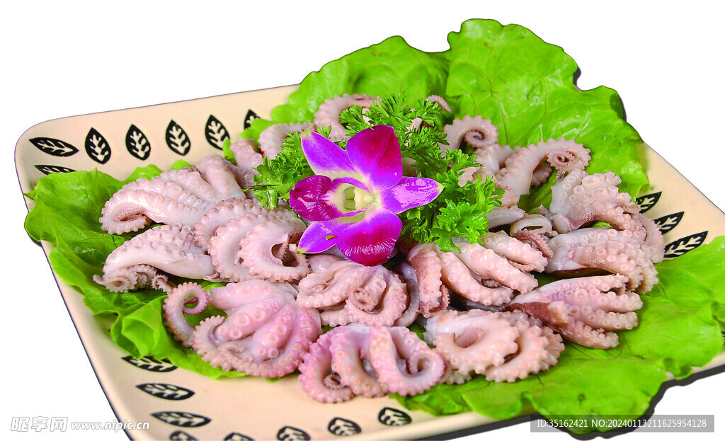 八带