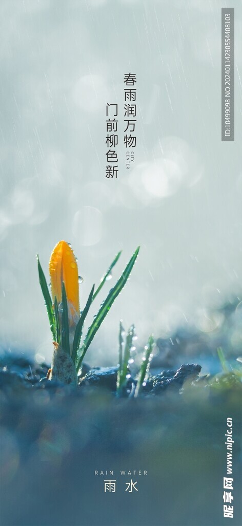 雨水节气微信