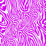 斑马纹