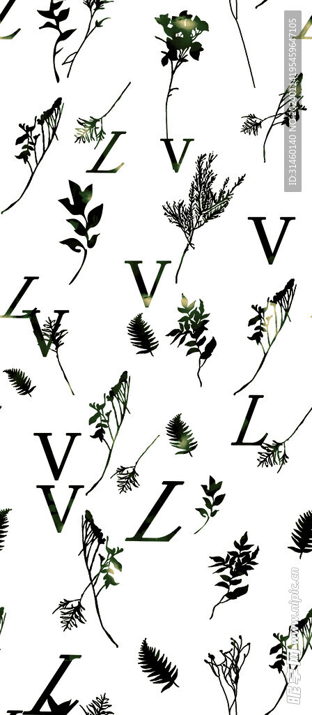 字母