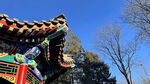 古建筑 建筑细节