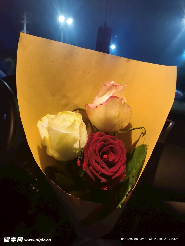     玫瑰花 