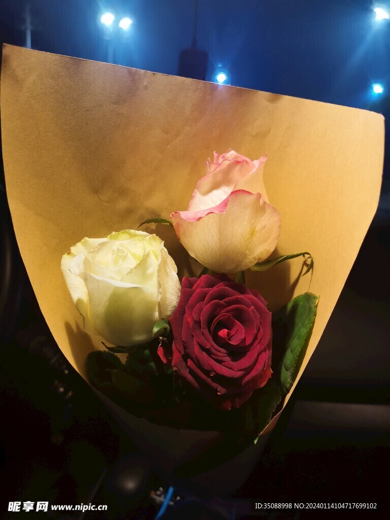 玫瑰花 