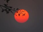 夕阳晚霞图片