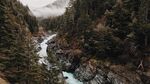 山涧溪水图片