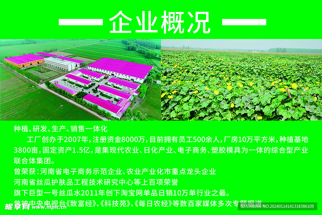 企业概况