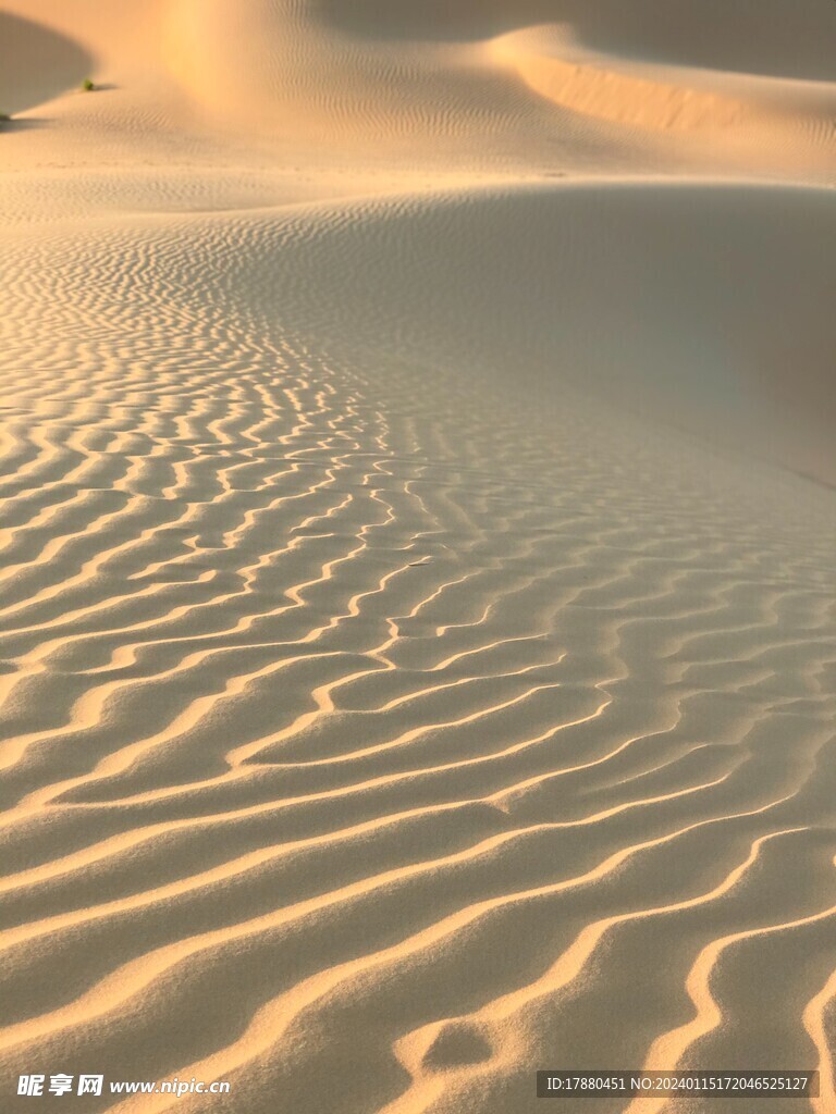 沙漠 