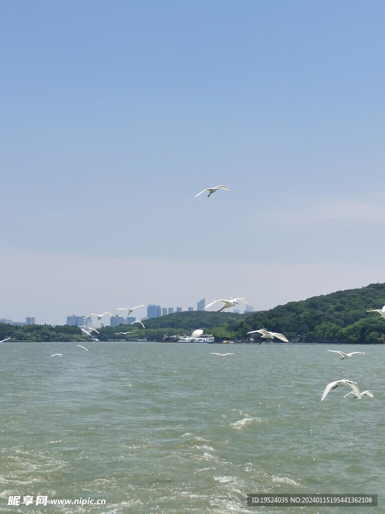 太湖水景