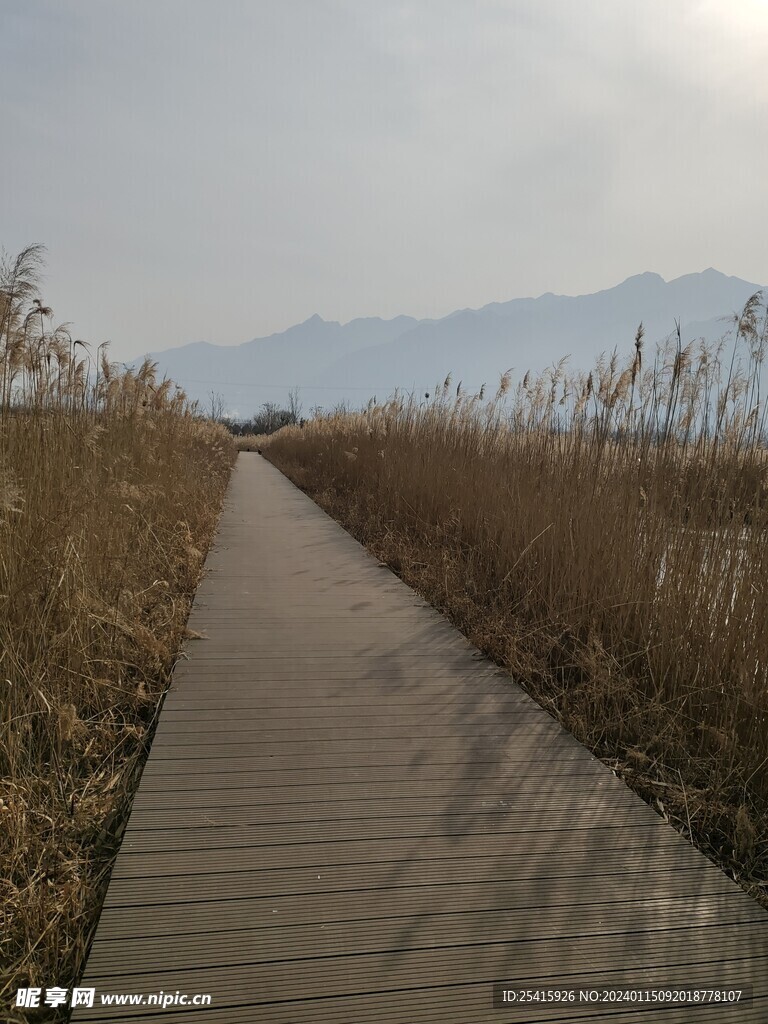 旅游照片