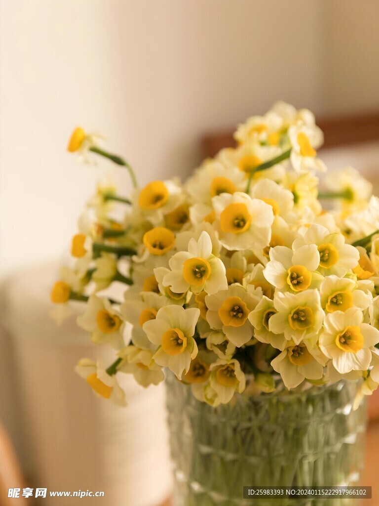 水仙花