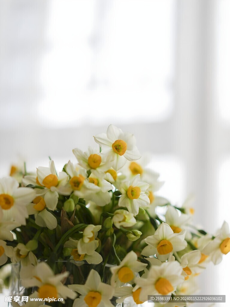 水仙花