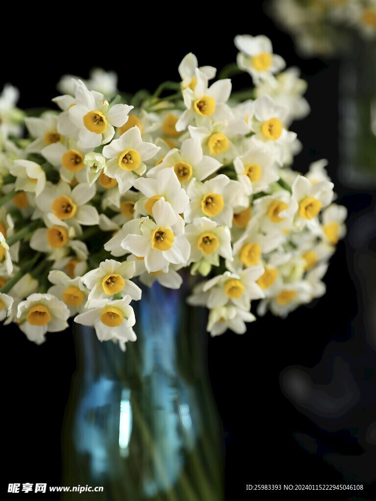 水仙花