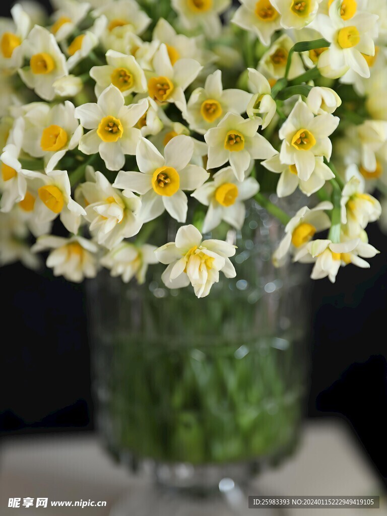 水仙花