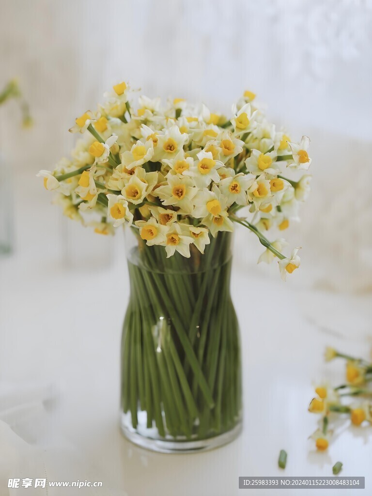 水仙花