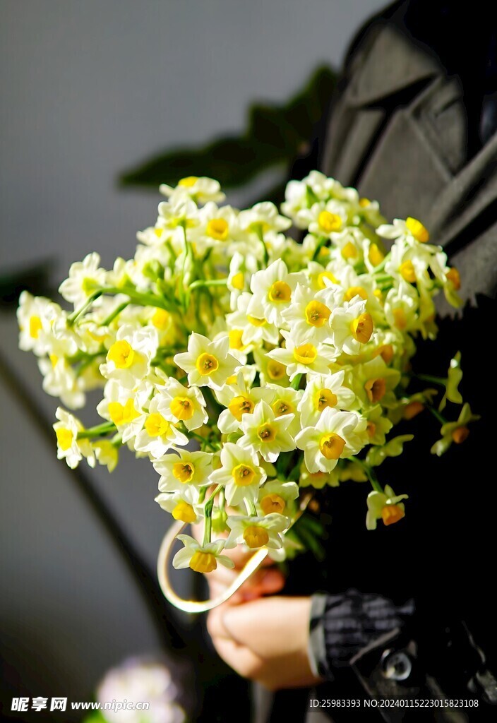 水仙花