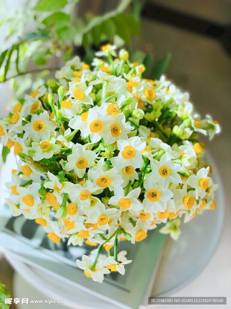 水仙花