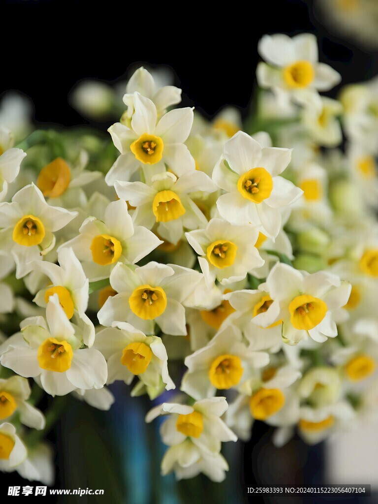 水仙花