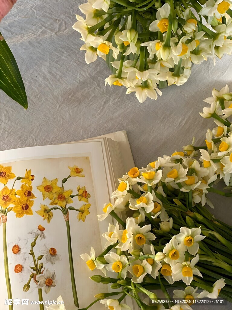 水仙花