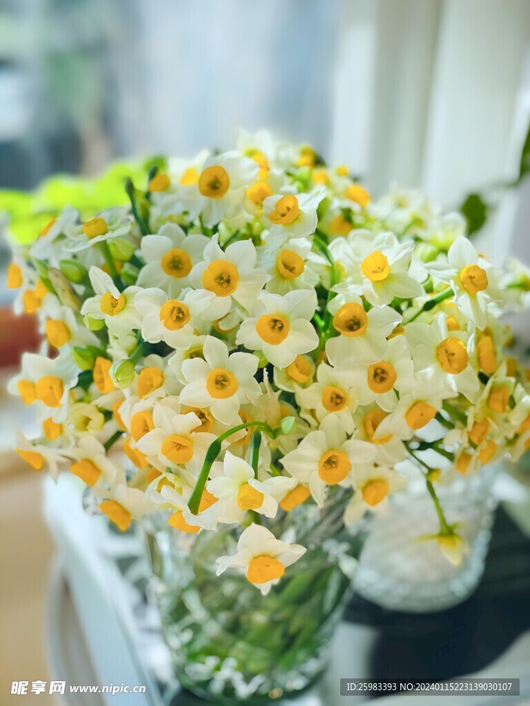 水仙花