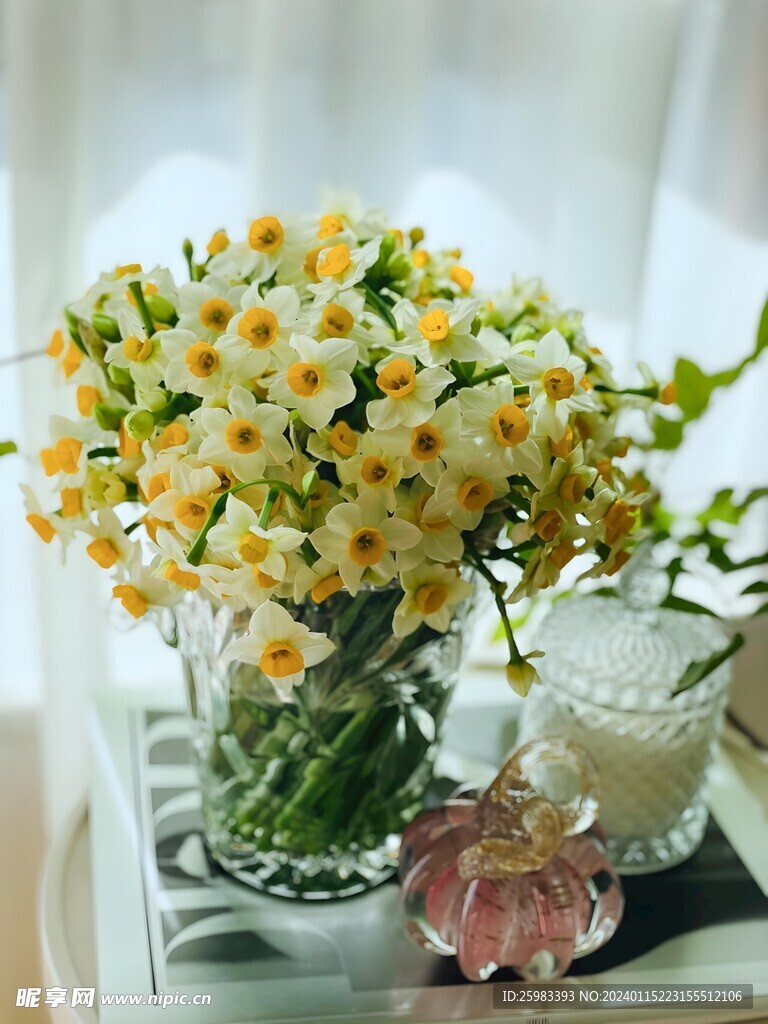 水仙花