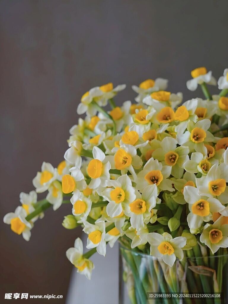 水仙花