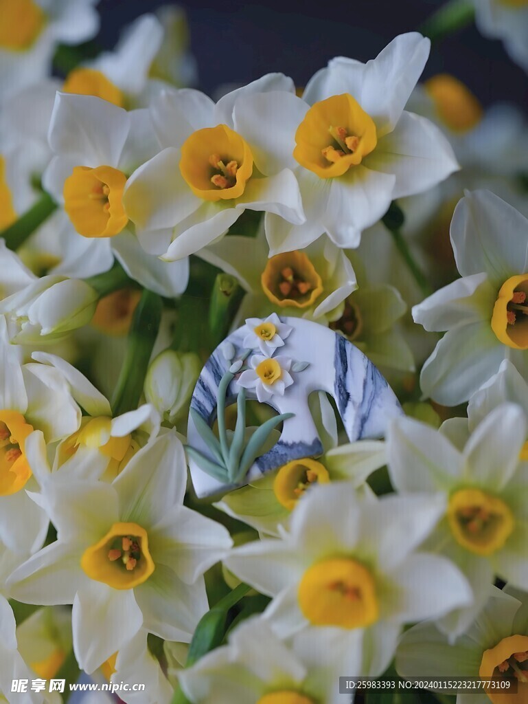水仙花