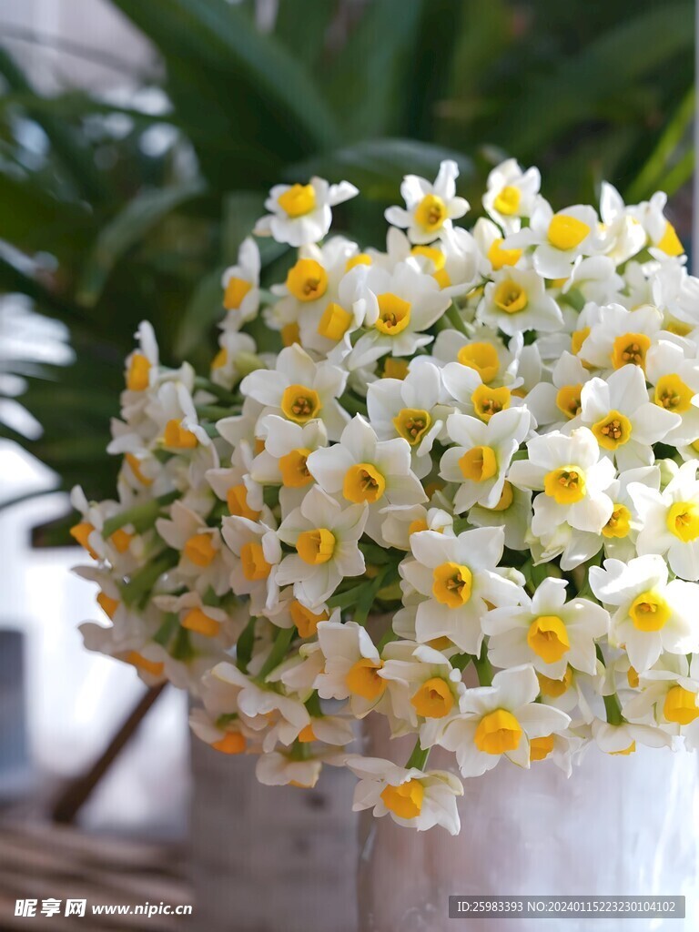 水仙花