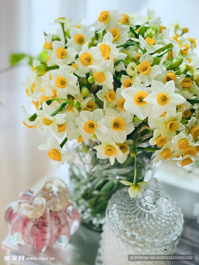 水仙花