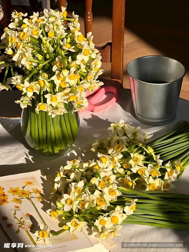 水仙花