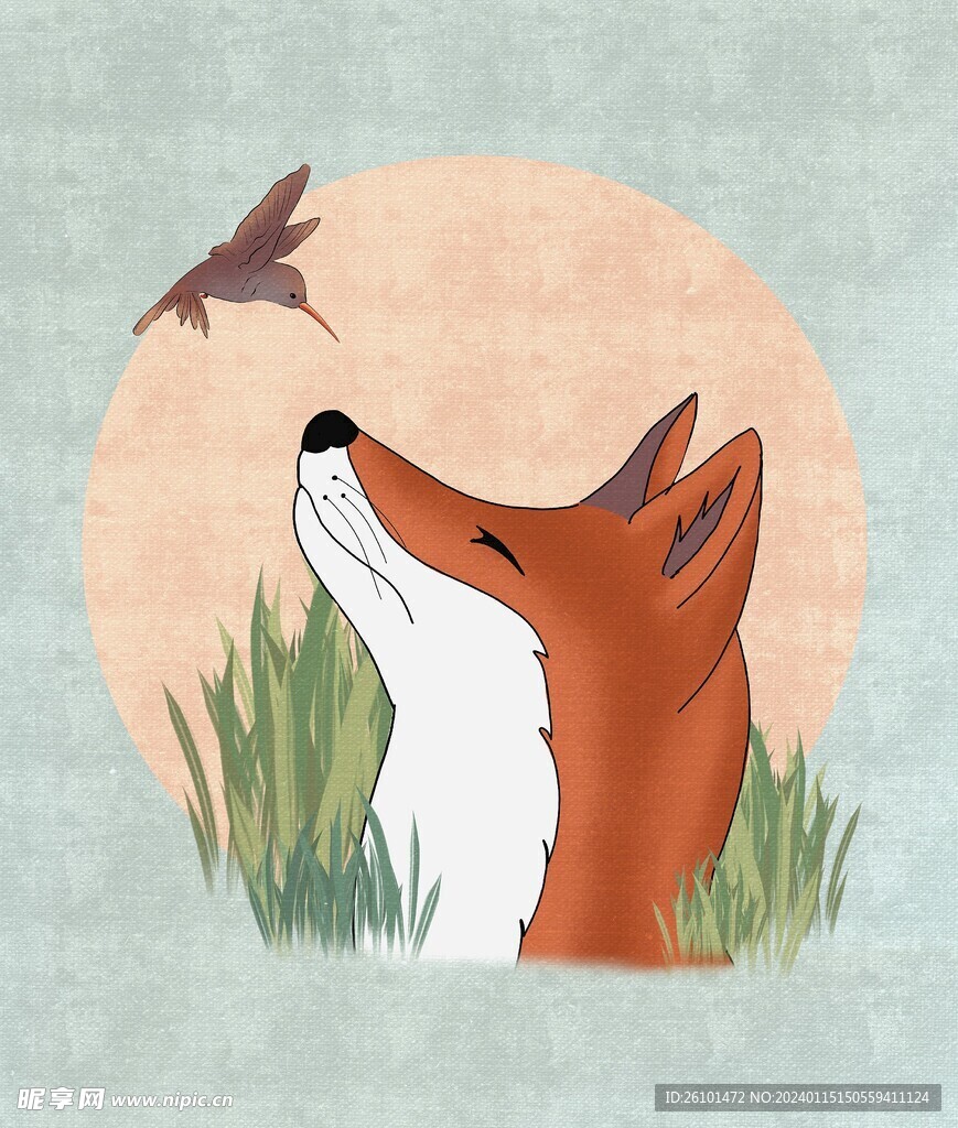 狐狸