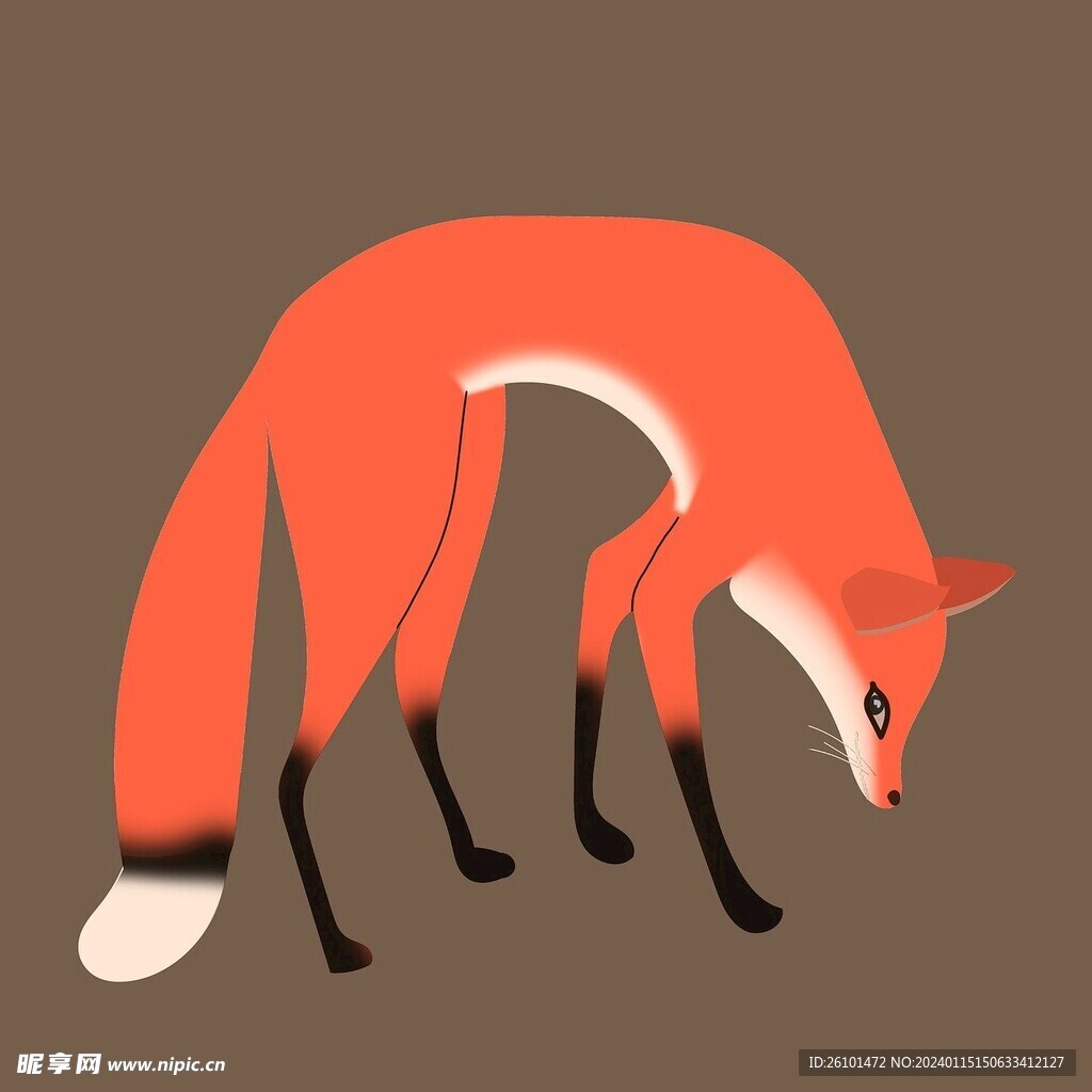 狐狸
