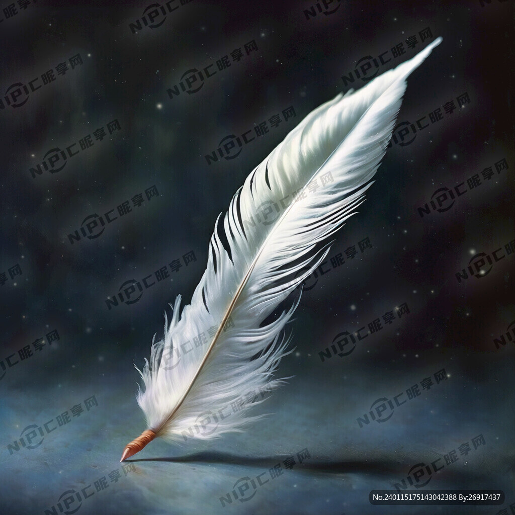 单独一根梦幻的天鹅羽毛