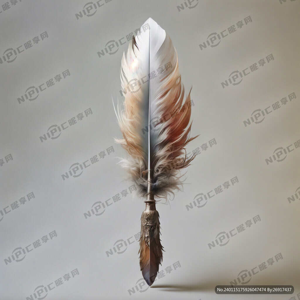 单独一根梦幻羽毛