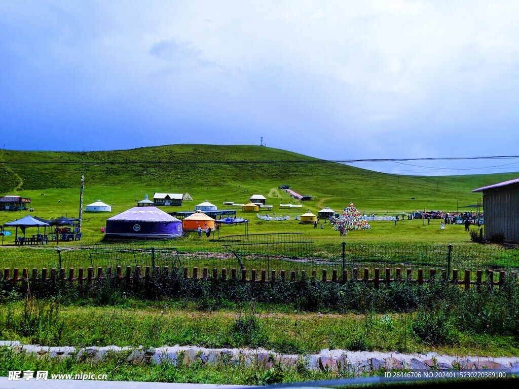 青青草原