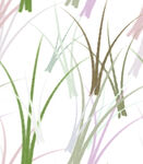 草