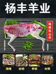 山东新鲜羊肉